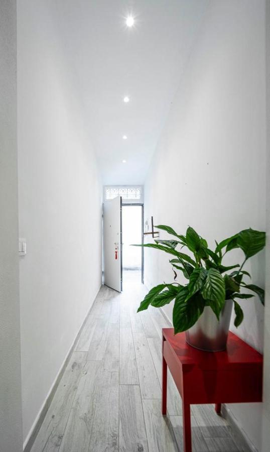 דירות פירנצה Puccinotti House מראה חיצוני תמונה